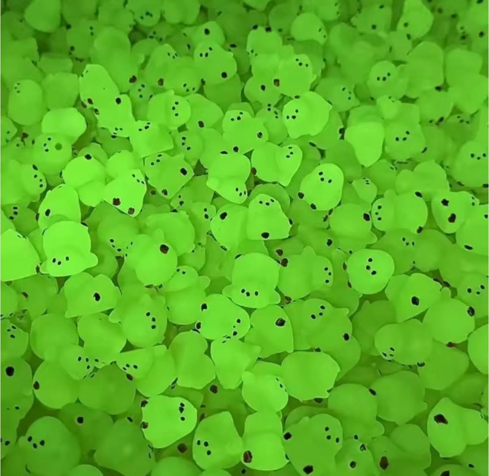جوجه شبتاب🐥🐥 - Image 6