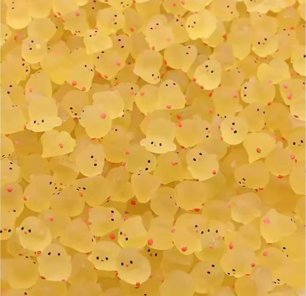 جوجه شبتاب🐥🐥 - Image 3